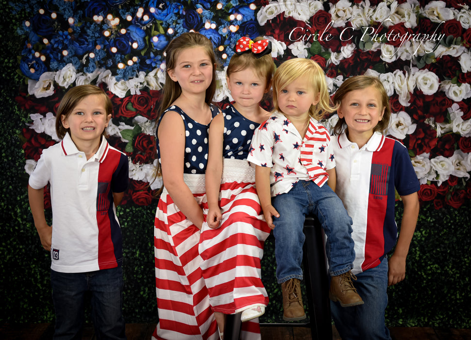 Boxwood Beauty USA (Lights)