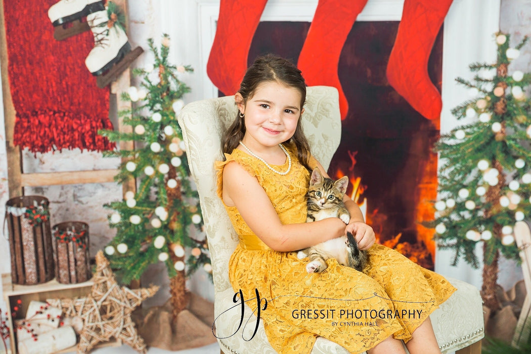 Farmhouse Cozy Fireplace (Lights)