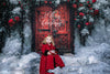 Winter Rose Door (BD)