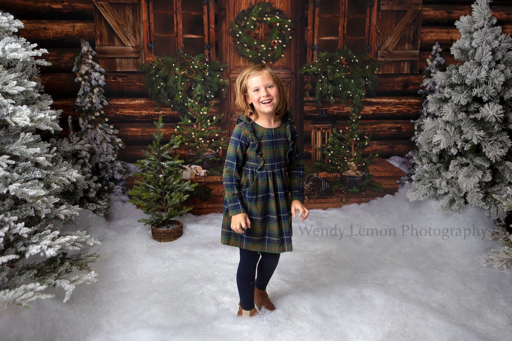 Christmas Cabin Welcome Lights