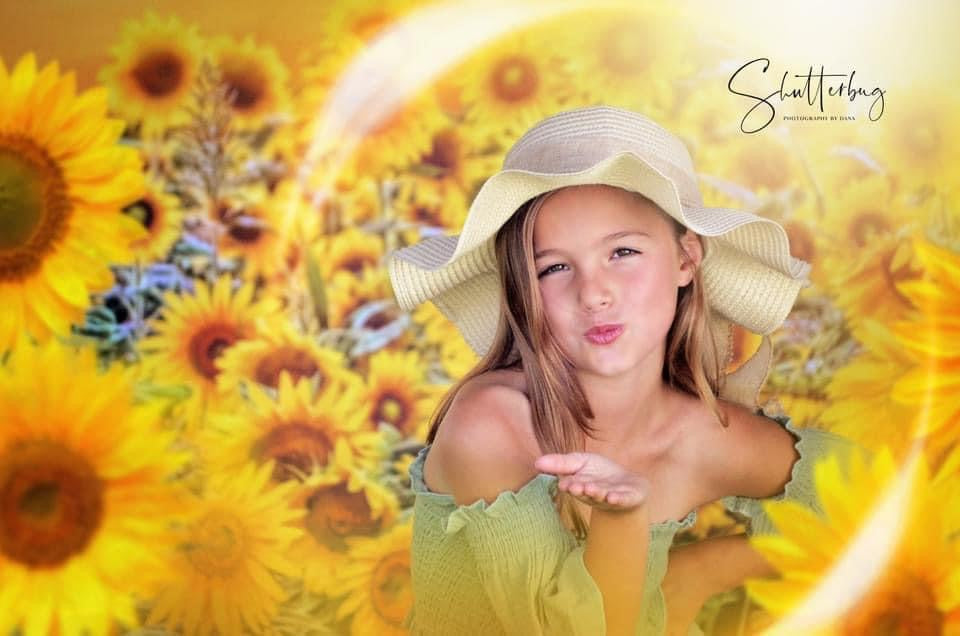 Sweet Sunflower Field (CC)