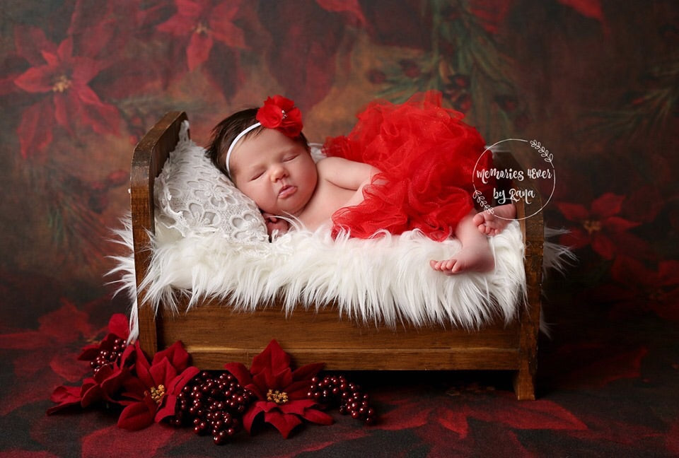 Bitty Heirloom Poinsettia Perfection