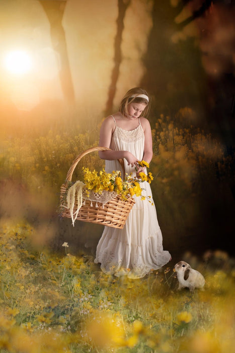 Goldenrod Sweep (LG)