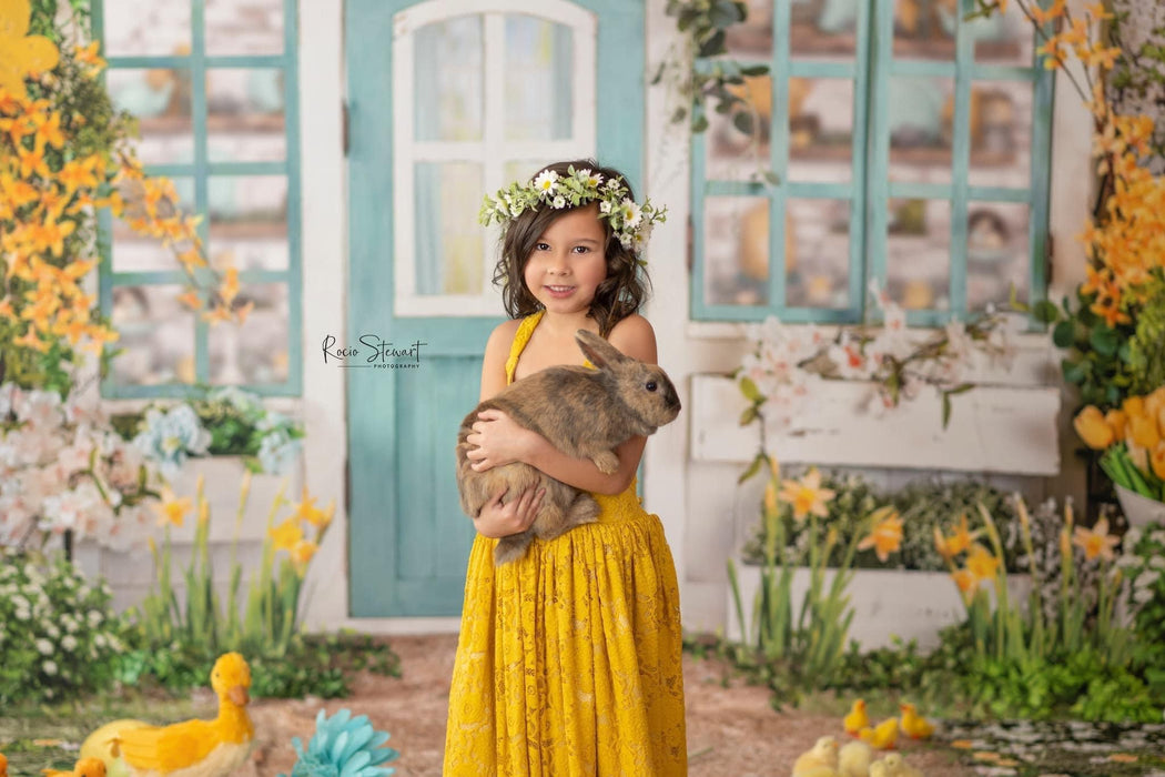 Simple Spring House (Window Scene) (JA)