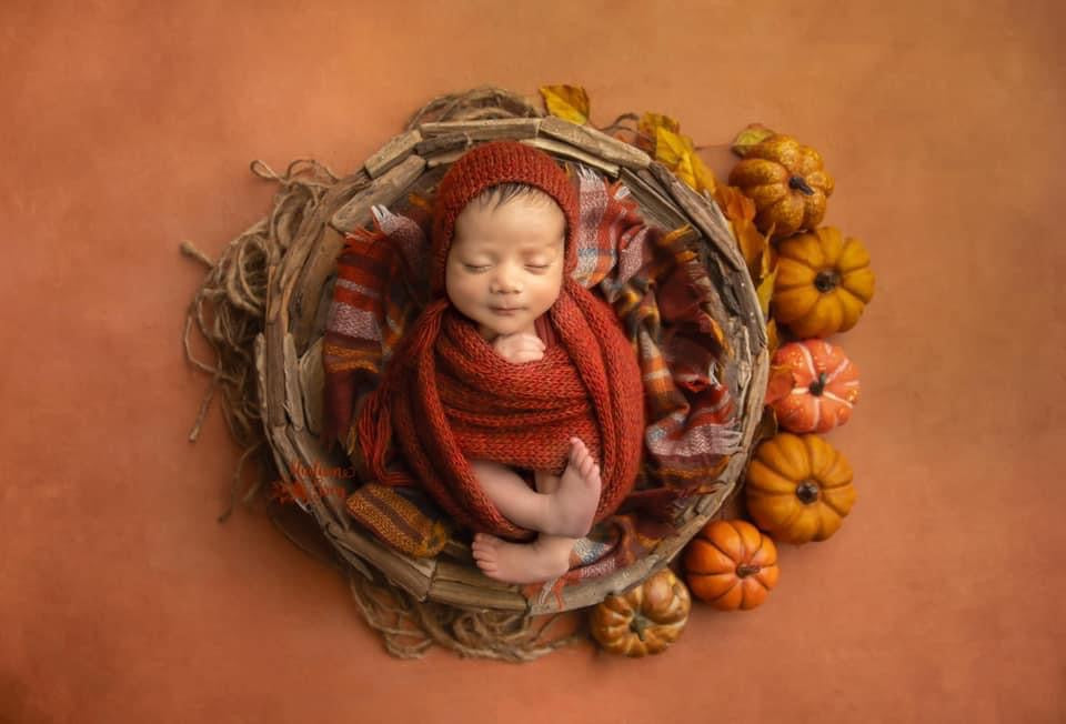 Bitty Dream Bundle - Fruit