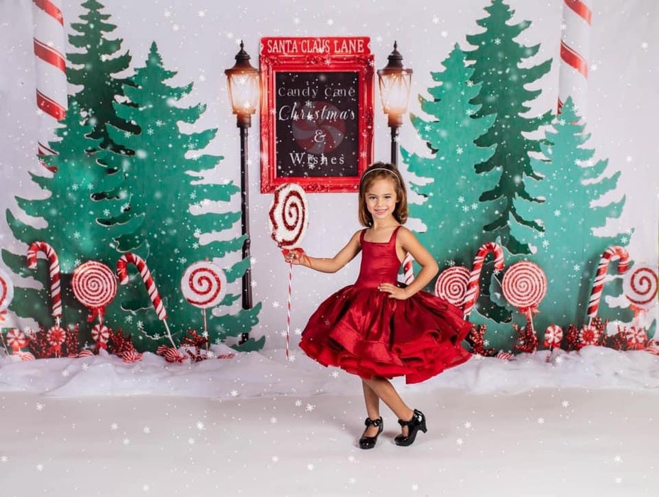 Candy Cane Christmas and Wishes