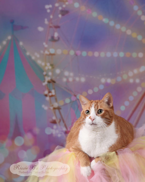 Run Away to the Circus