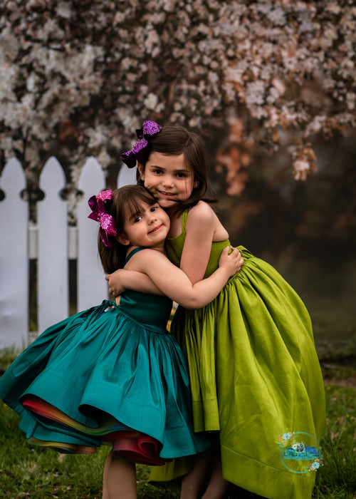 Spring Countryside Fence (JA)