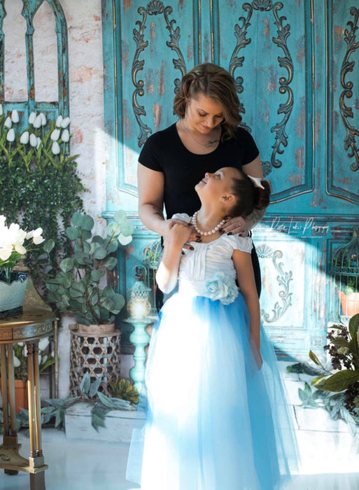 Blue Spring Entry (JA)