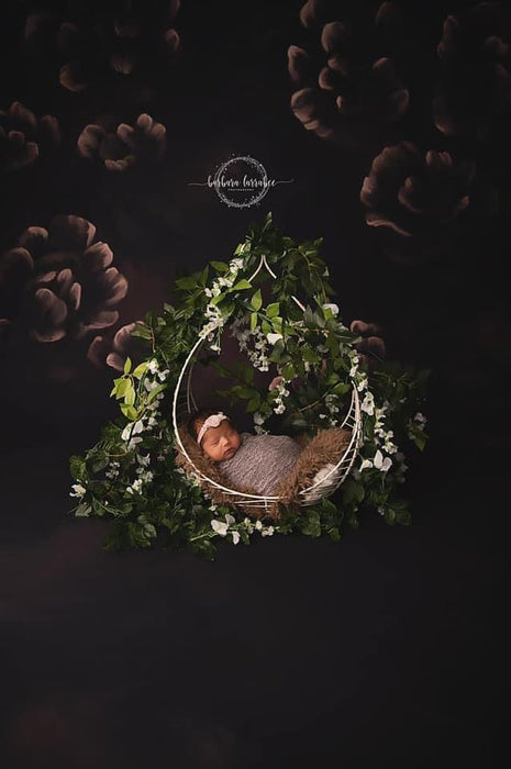 Sweeps Divine Black Beauty