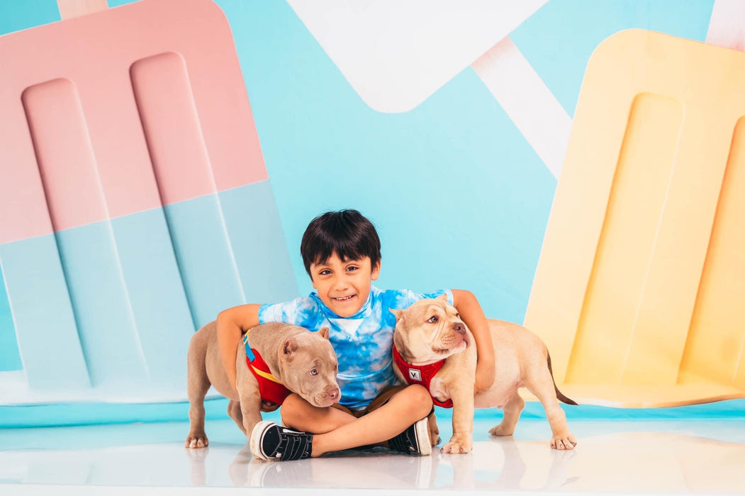 Summer Popsicles Teal