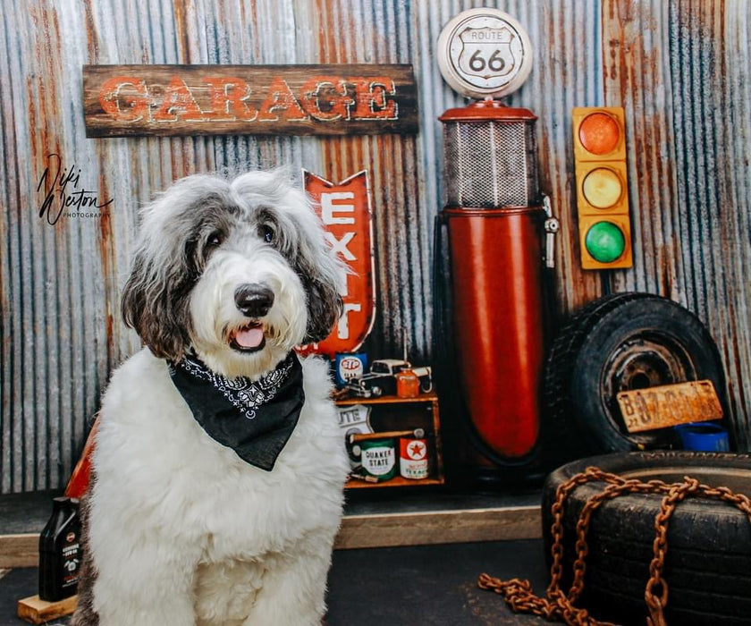 Gramps Garage (Extra Props)