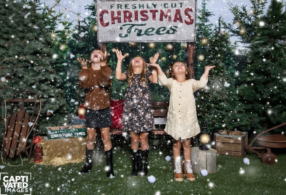 Backyard Tree Farm (String Lights + Sign)