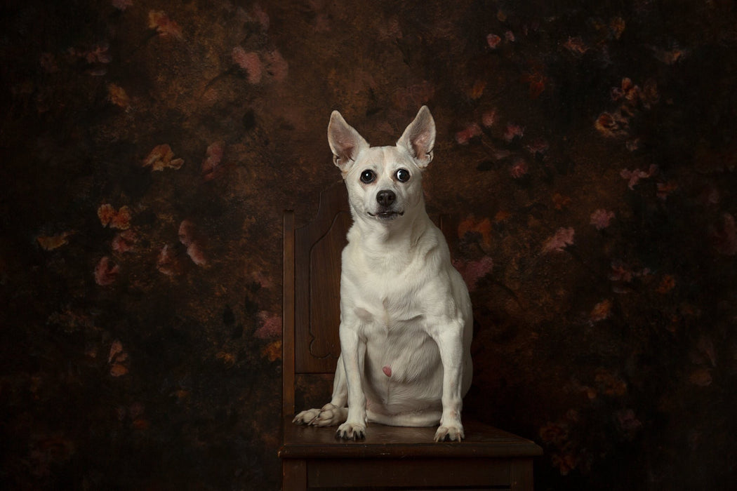 Heirloom Faith in Florals