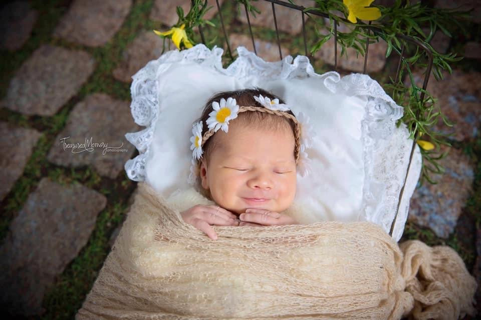 Moss Among Stones Drop