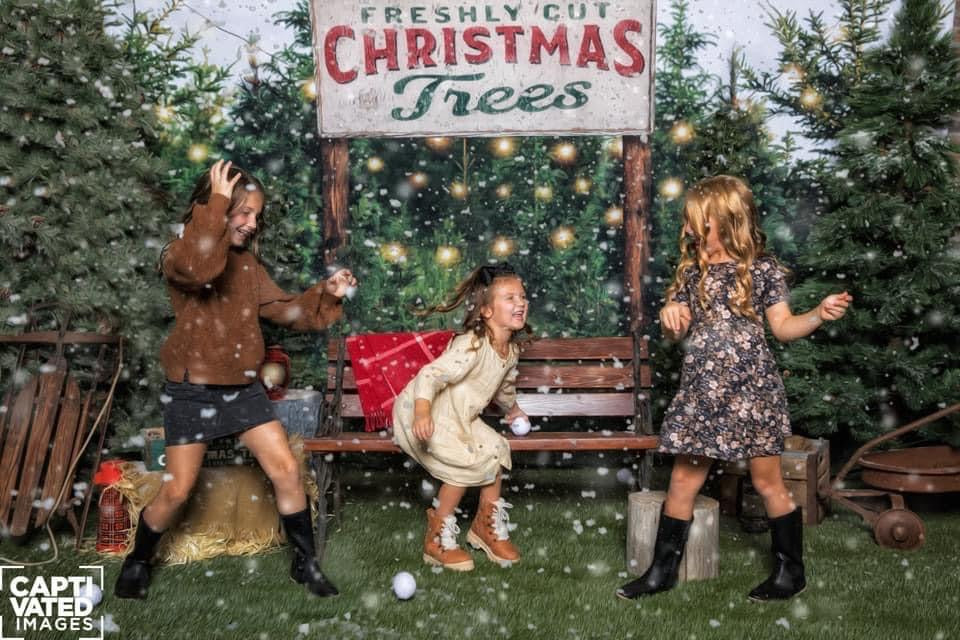 Backyard Tree Farm (String Lights + Sign)