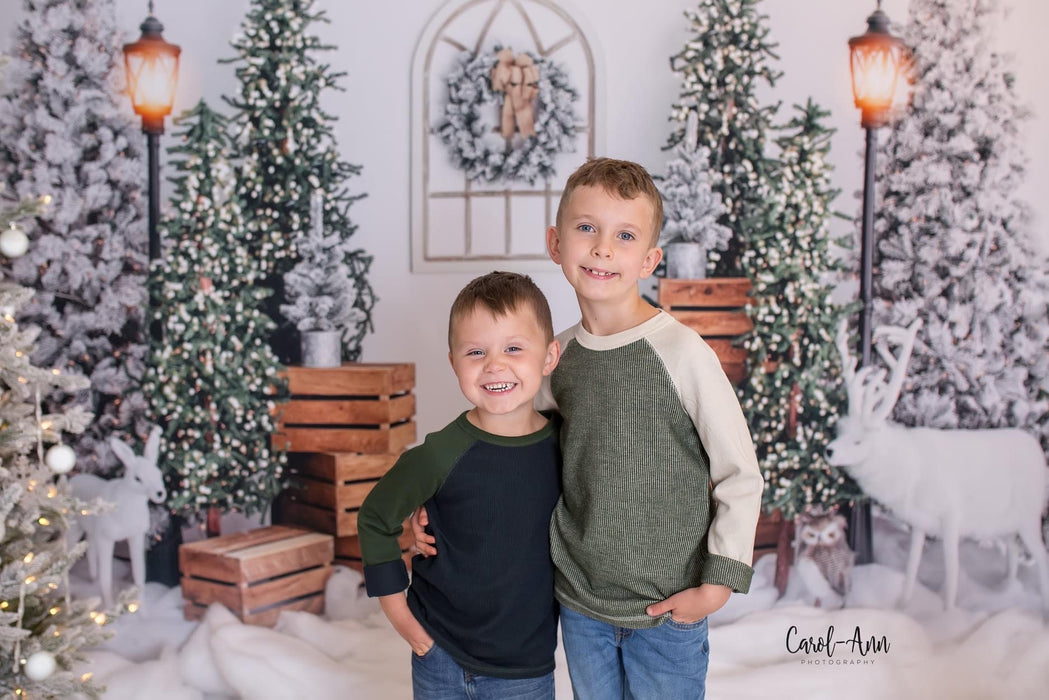 Winter Blunder Lights