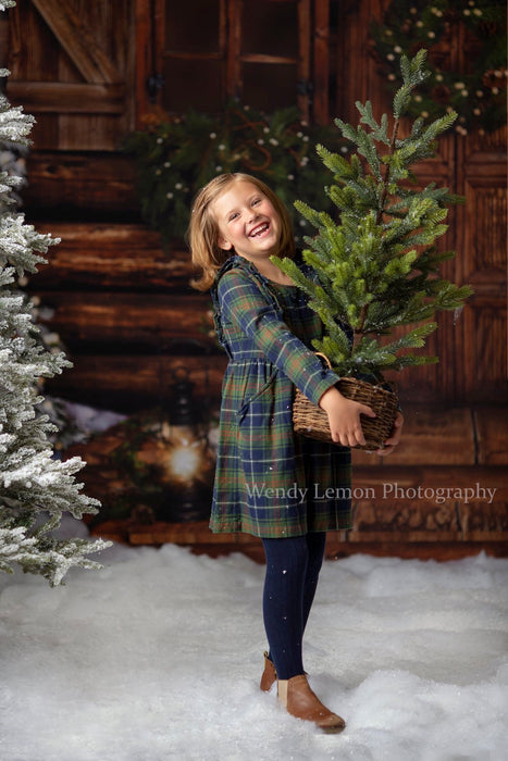 Christmas Cabin Welcome Lights