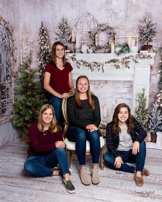 Holiday Dreamer Lights Windows and Mantel Room