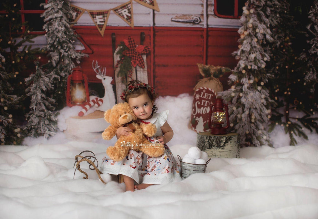 Winter Camper Decorated (Extra Lights)