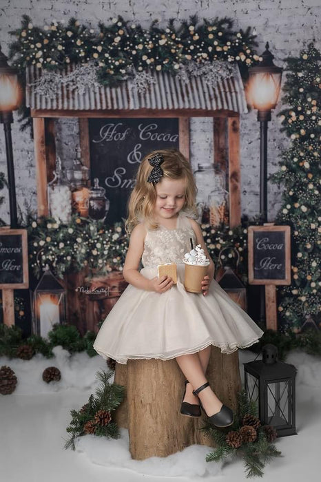 Hot Cocoa and Smores