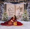 Once Upon a Christmas Castle (JA)