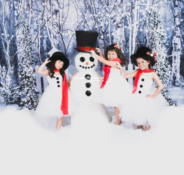 Believe in Birch Fence Path Lights