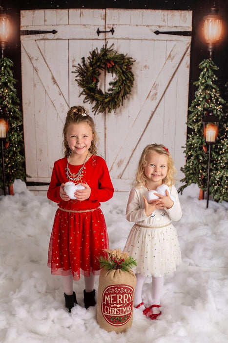 White Rustic Christmas with Lights (VR)