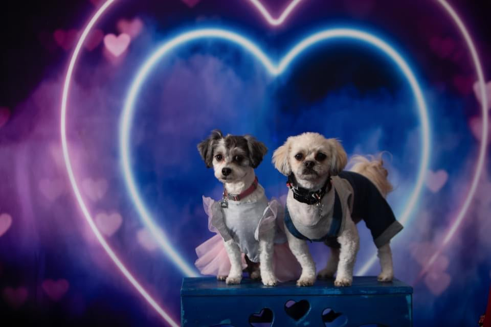 X Drop neon valentine