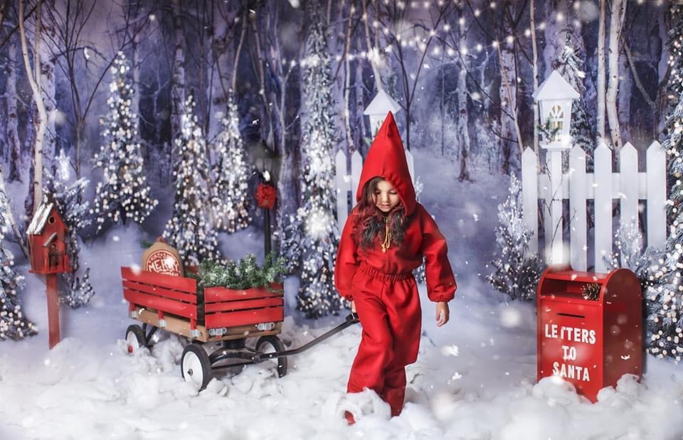 Believe in Birch Forest Pines Lights and Believe in Birch Fence Path Lights