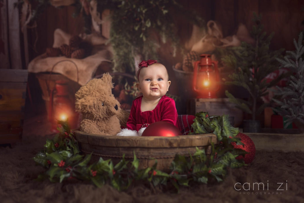 Owl Be Home for Christmas