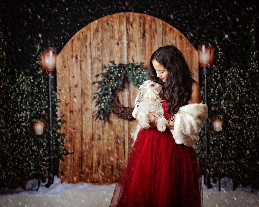 Rustic Christmas with Lights