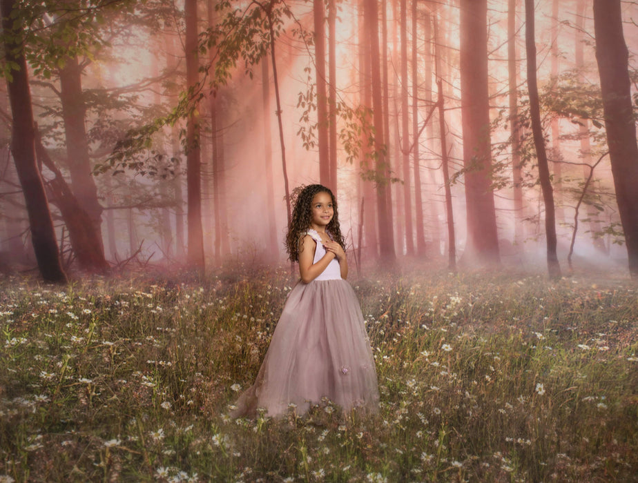 April Meadow Morning (CC)