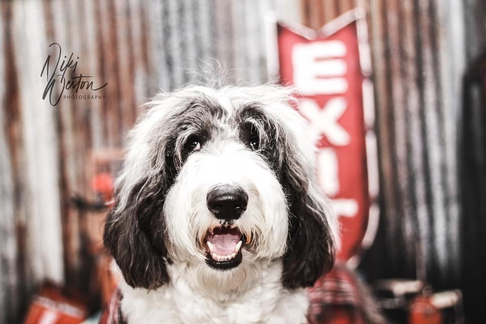 Gramps Garage (Extra Props)