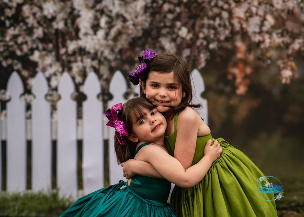 Spring Countryside Fence (JA)