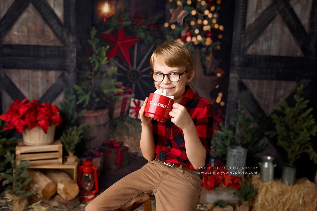 Country Traditions Lights