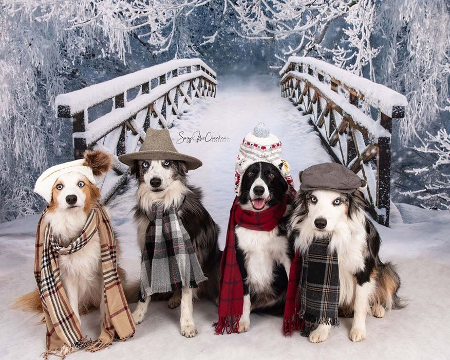 X Drop wander thru winter