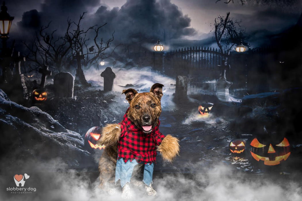 Creepy Pumpkin Patch