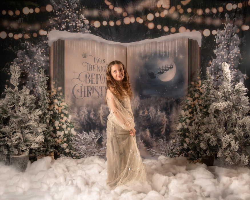 Once Upon a Christmas Santa (JA)