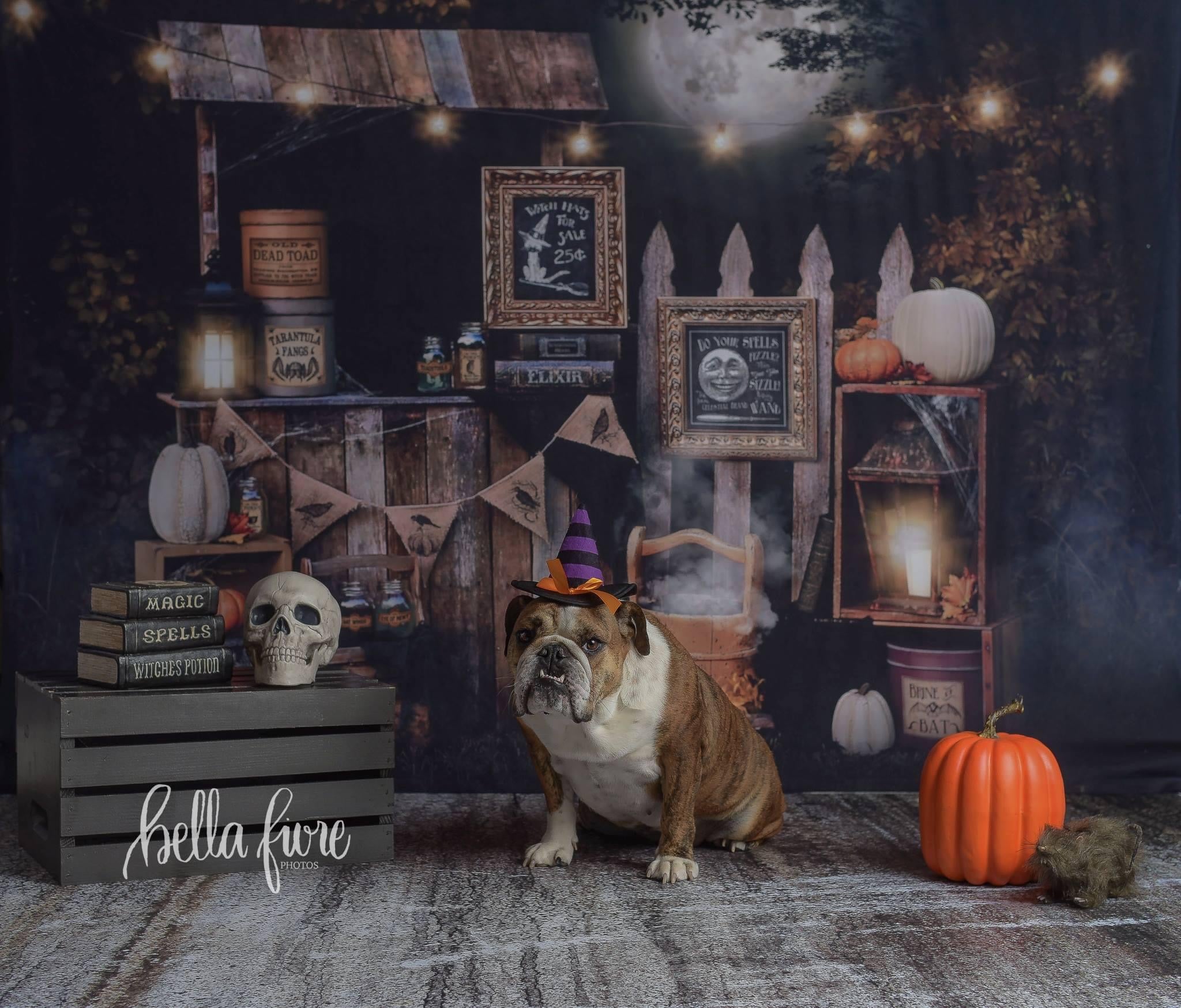 Witch Dog Hocus Pocus with Pumpkins Poster for Sale by Neeyotic