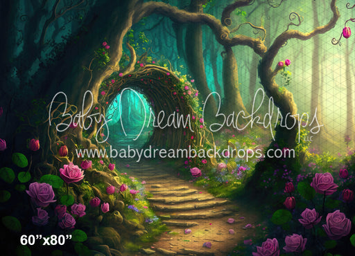 Pathway to Enchantment (MD)