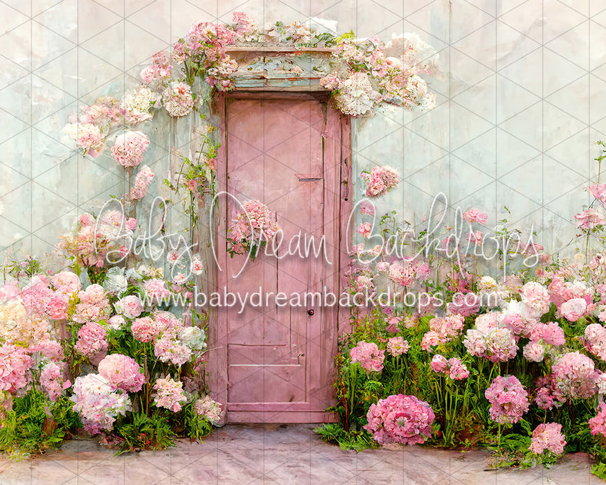 Cotton Candy Peonies (BD)