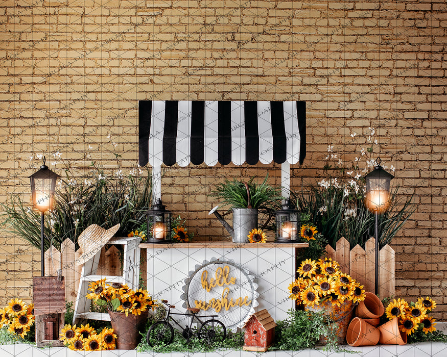 Pocket Full of Sunshine