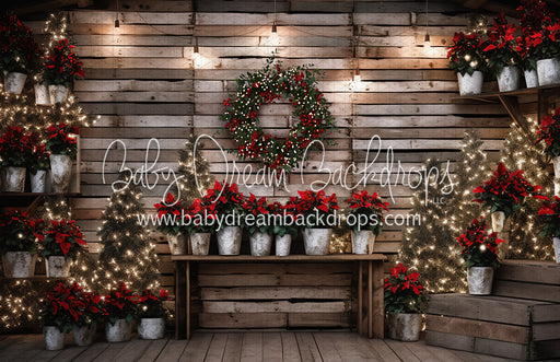 Poinsetta Christmas Greenhouse (KR)