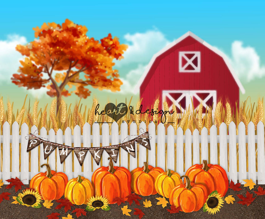 Pumpkin Farm 60hx80w MR