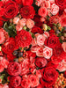 Romantic Flower Wall - 60x80 - BD  