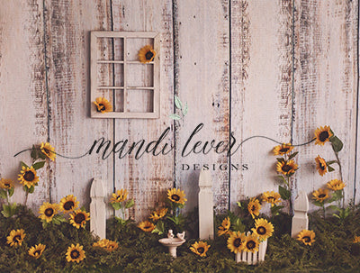 Sunflower Shed 60Hx80W ML  