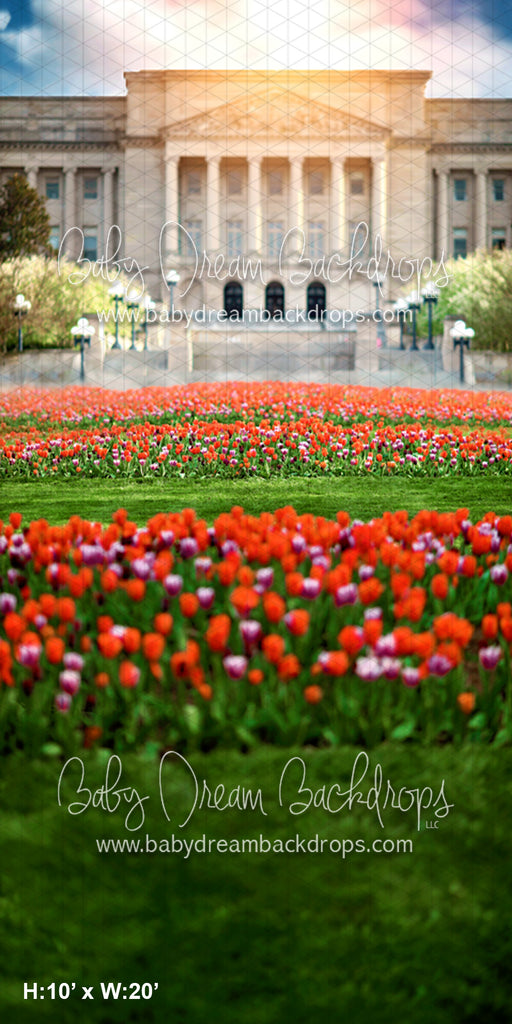 Sweep Tulip Row (LG) 