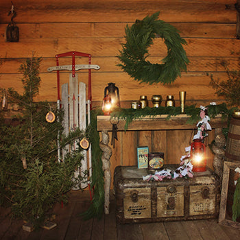 Winter Cottage Lights - 8x8ft 